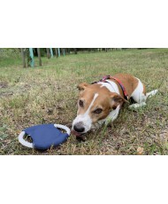 Frisbee dla psa RINGO