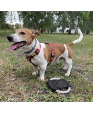 Frisbee dla psa RINGO